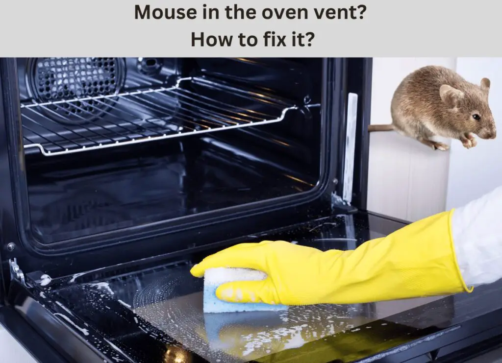 A Mouse in Oven Vent Should You Worry? SquidAppliances