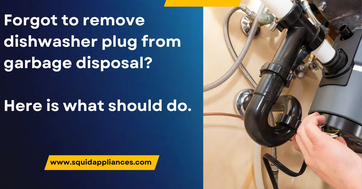 dishwasher plug and garbage disposal