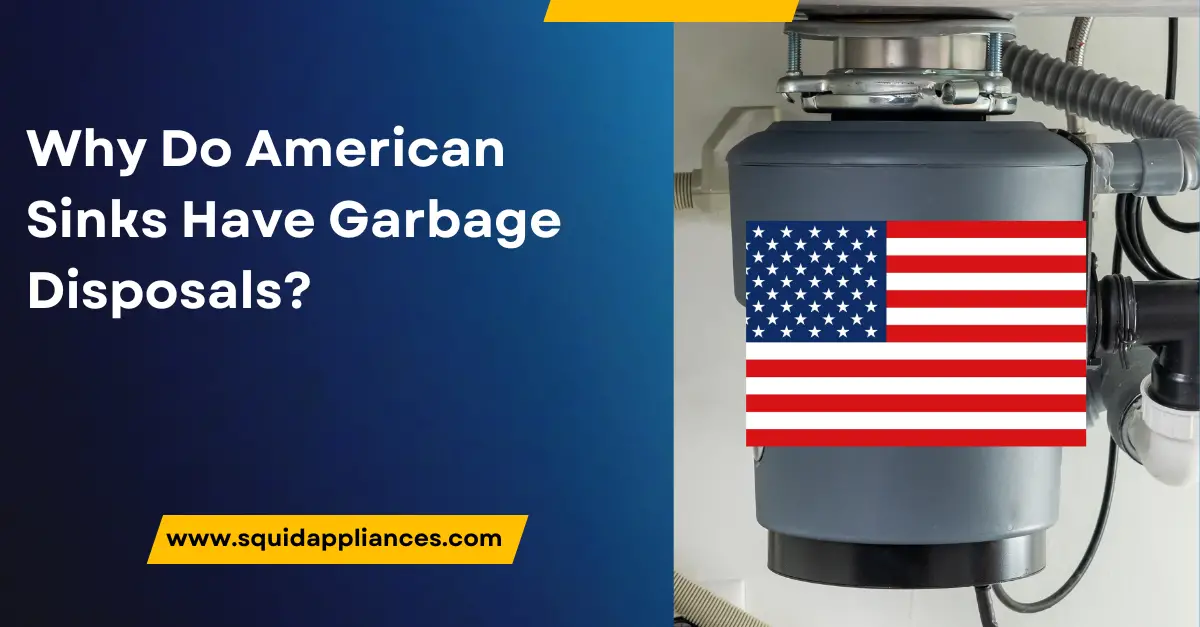 Why Do American Sinks Have Garbage Disposals?