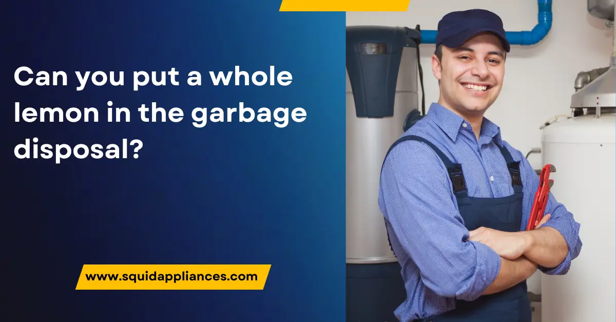 A plumber advising on Garbage Disposals