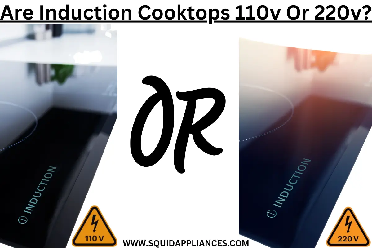 Are Induction Cooktops 110v Or 220v