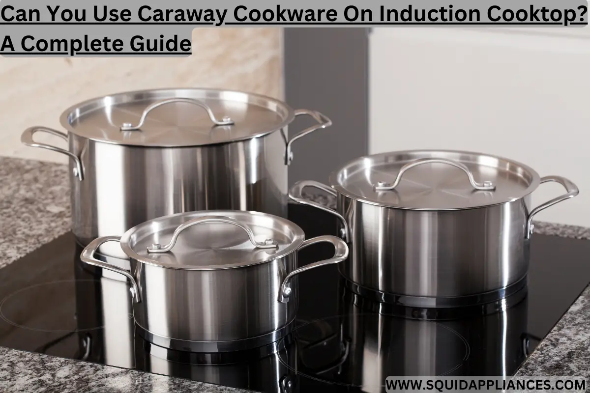Can You Use Caraway Cookware On Induction Cooktop A Complete Guide