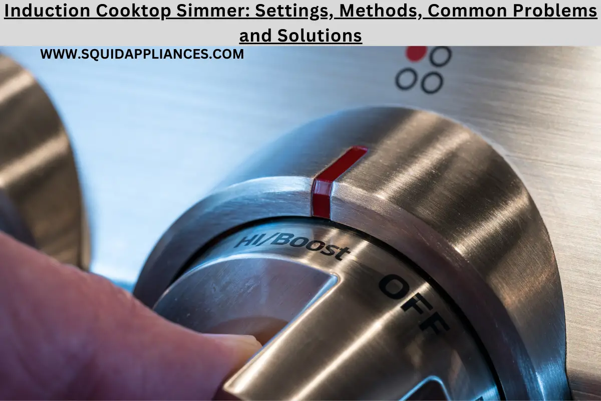 Induction Cooktop Simmer Settings, Methods, Common Problems And Solutions