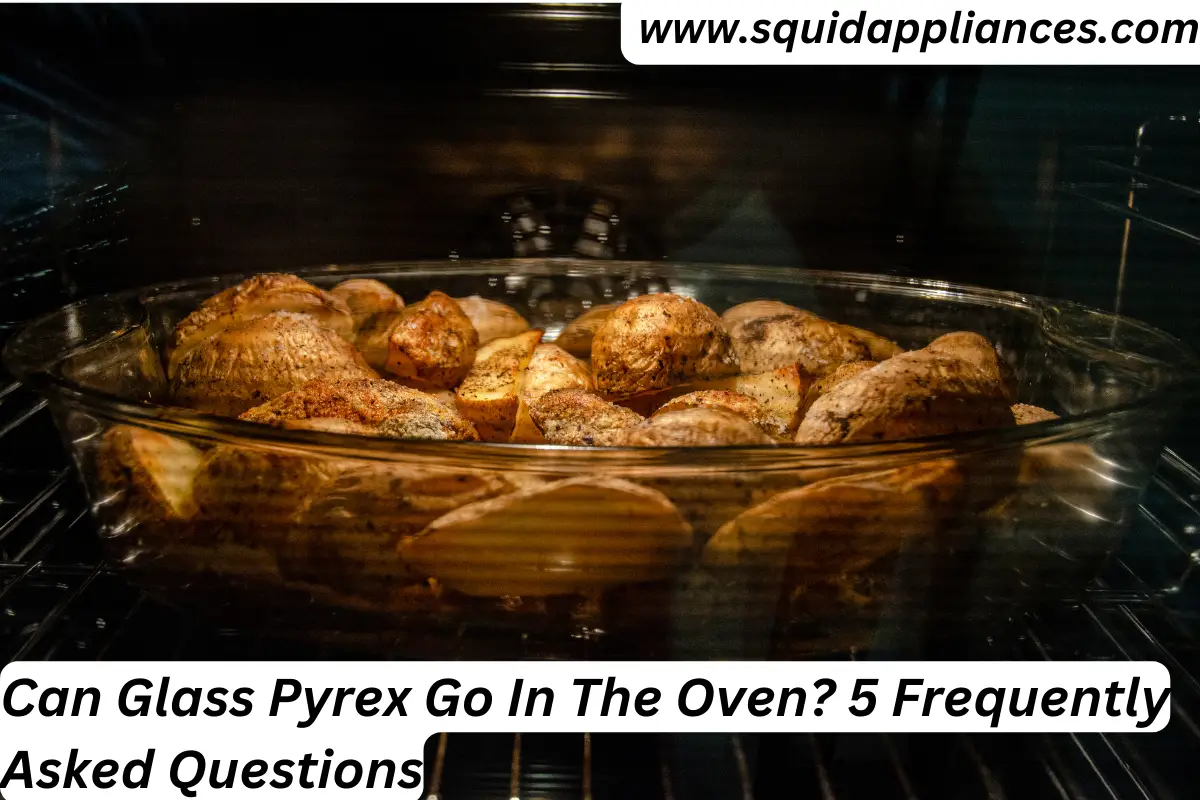 Can Glass Pyrex Go In The Oven? 5 Frequently Asked Questions