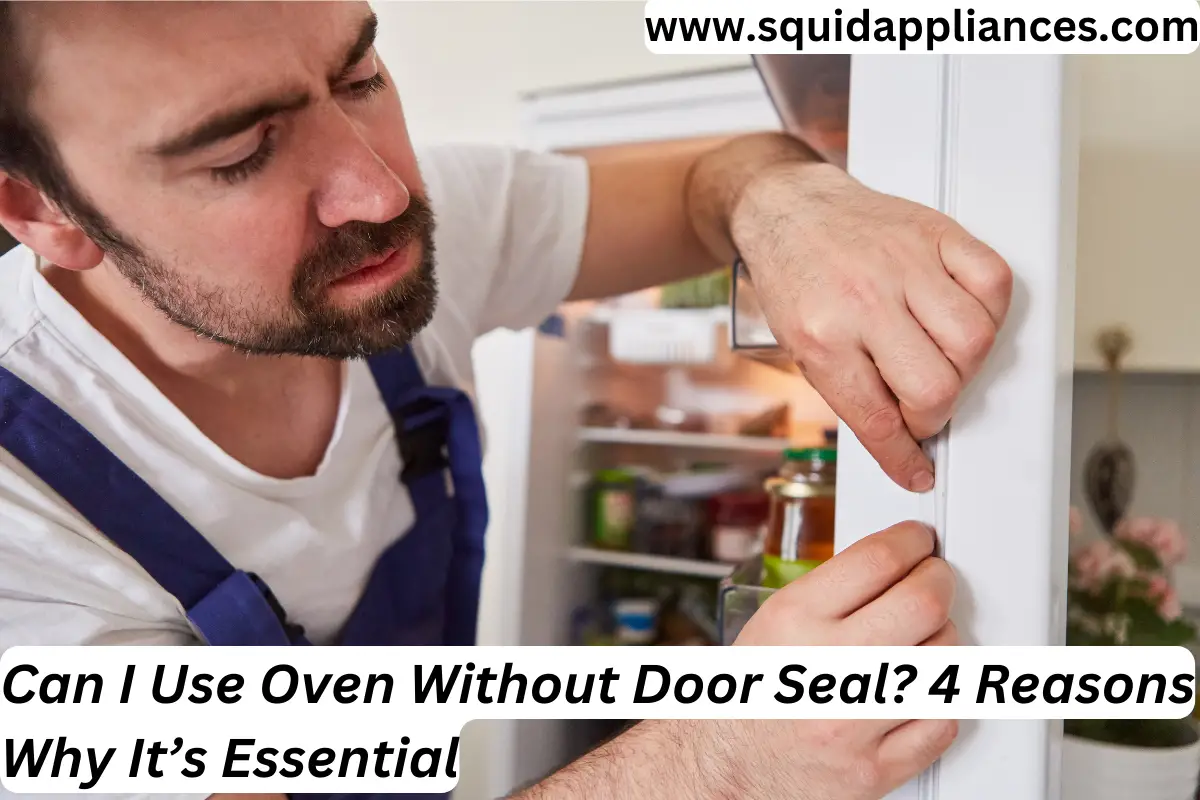 Can I Use Oven Without Door Seal? 4 Reasons Why It's Essential