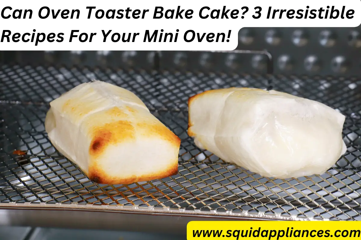 Can Oven Toaster Bake Cake? 3 Irresistible Recipes For Your Mini Oven!