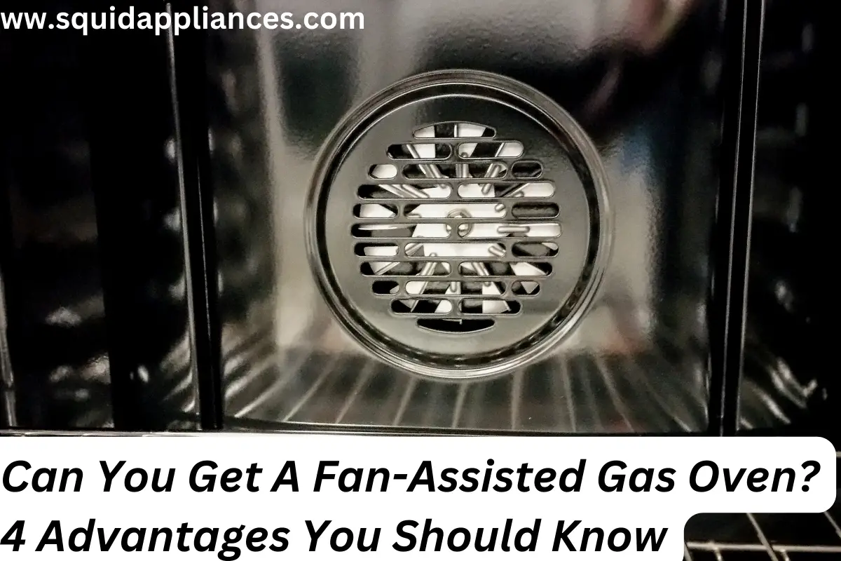 Can You Get A Fan-Assisted Gas Oven? 4 Advantages You Should Know