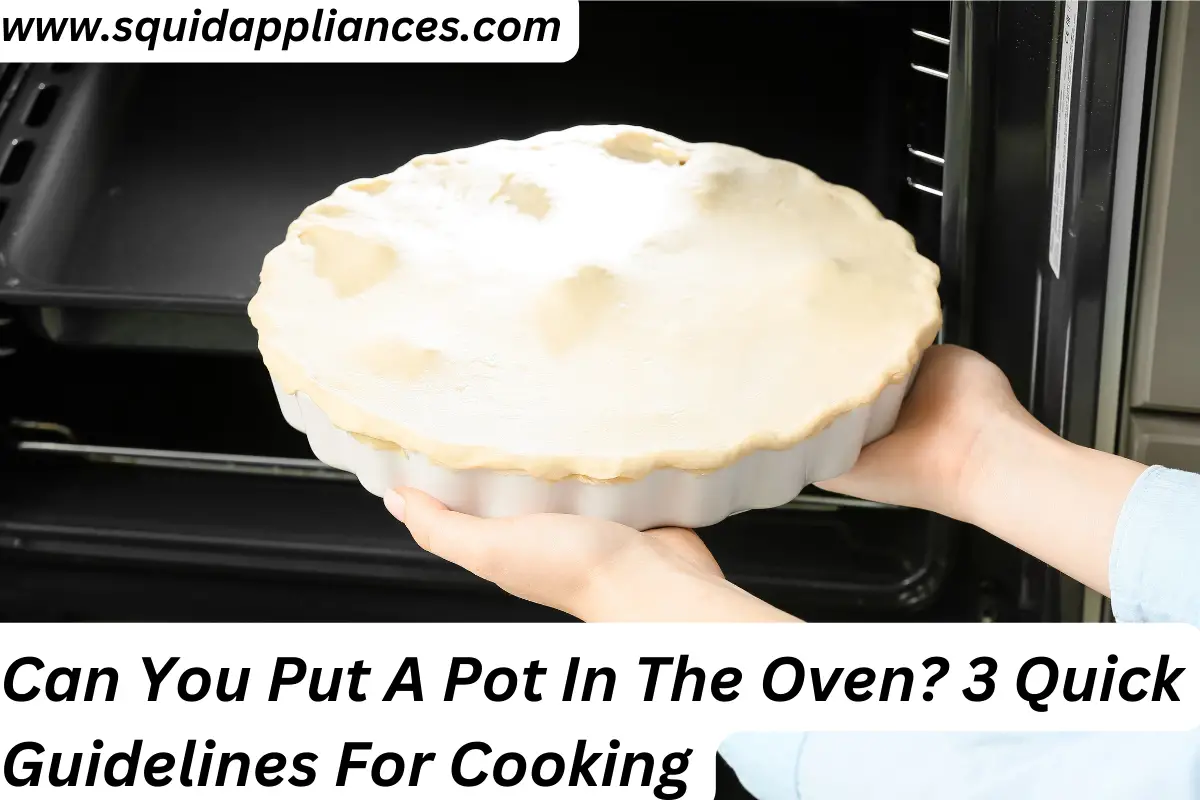 Can You Put A Pot In The Oven? 3 Quick Guidelines For Cooking