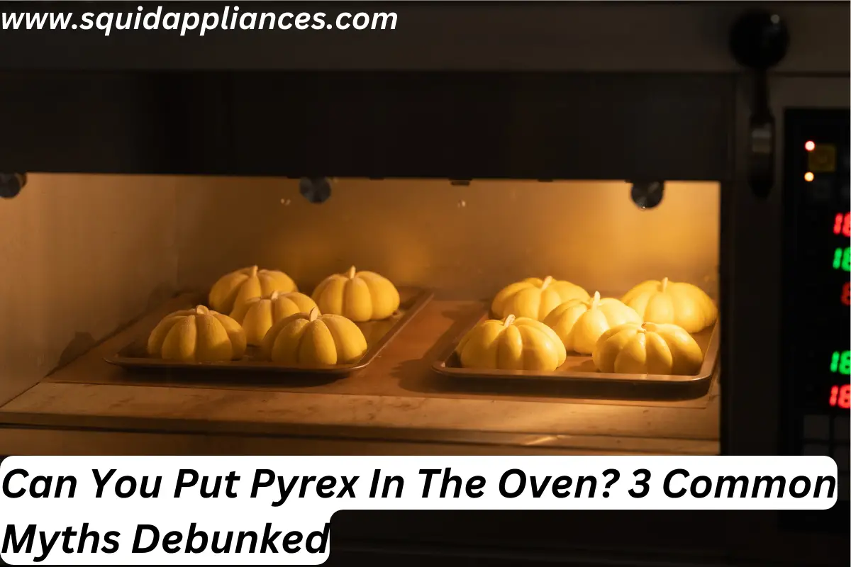 Can You Put Pyrex In The Oven? 3 Common Myths Debunked