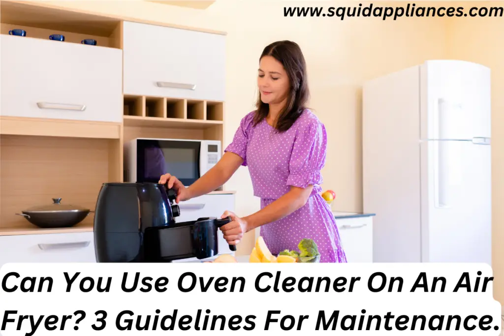 Can You Use Oven Cleaner On An Air Fryer? 3 Guidelines For Maintenance