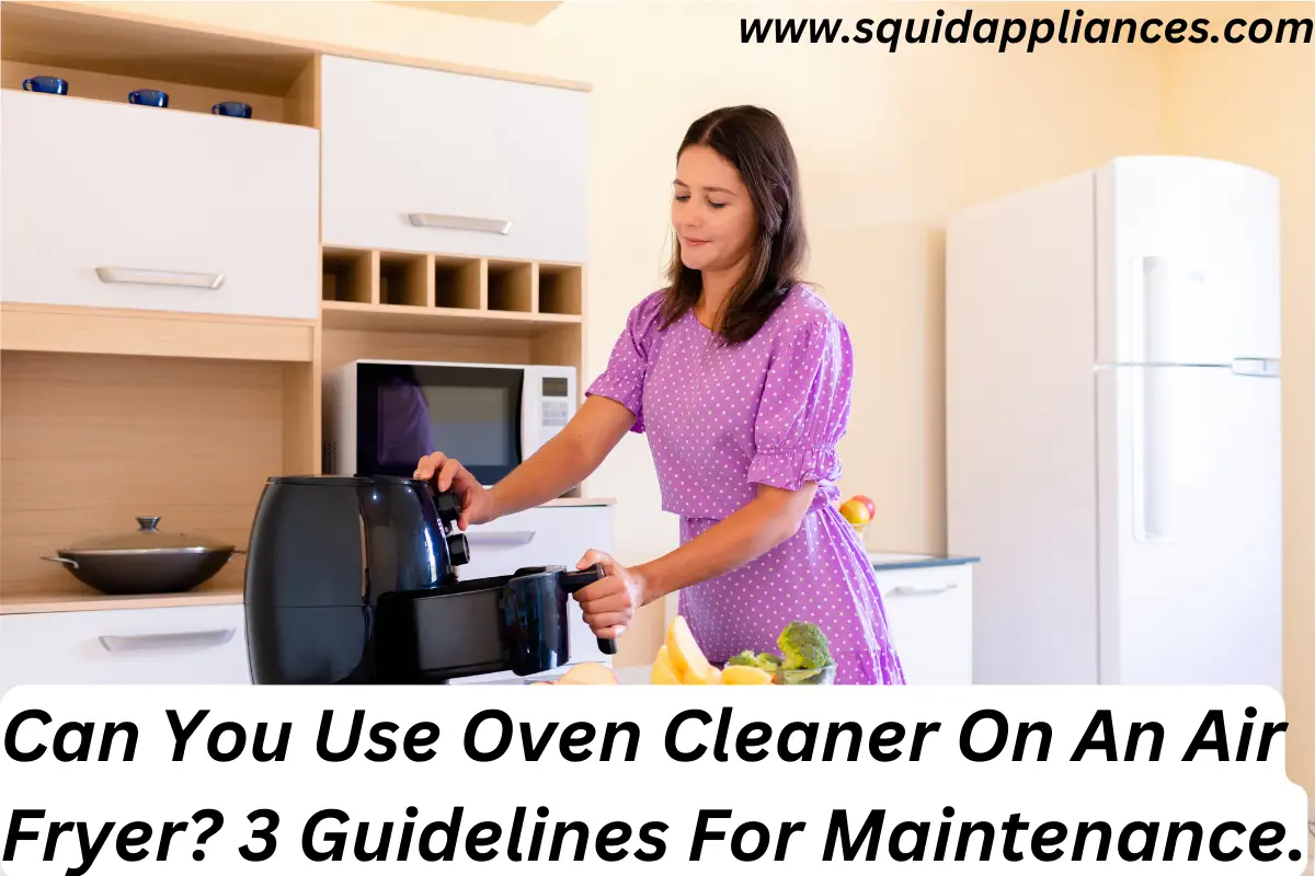 Can You Use Oven Cleaner On An Air Fryer? 3 Guidelines For Maintenance.
