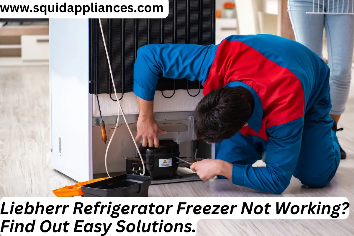 Liebherr Refrigerator Freezer Not Working? Find Out Easy Solutions.