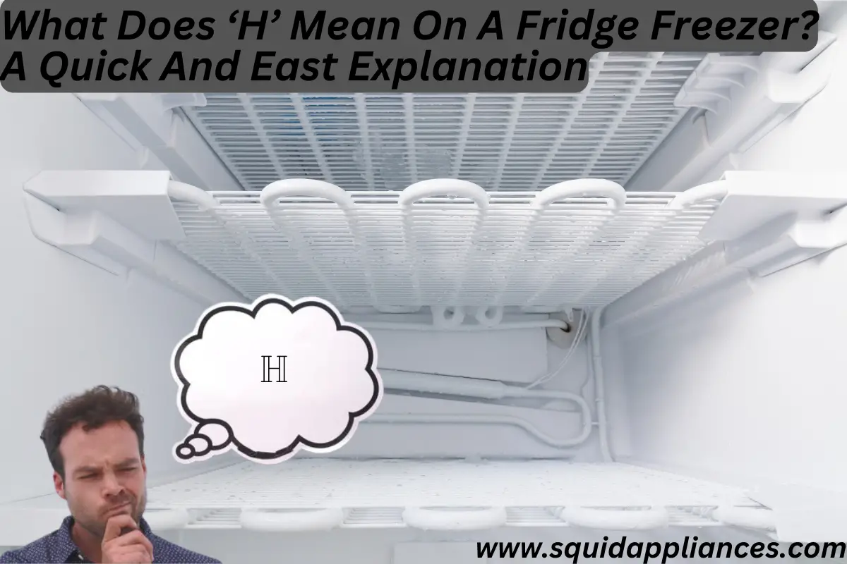 What Does 'H' Mean On A Fridge Freezer? A Quick And East Explanation
