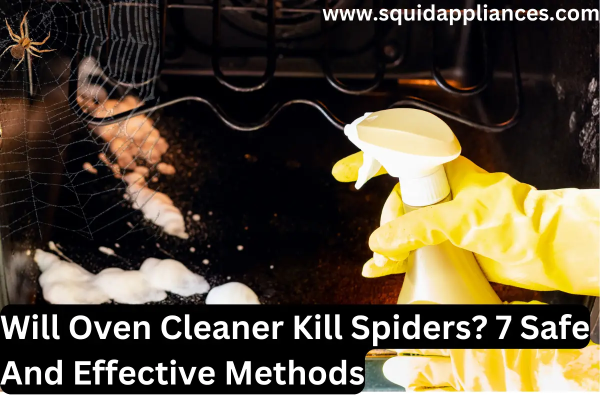 Will Oven Cleaner Kill Spiders? 7 Safe And Effective Methods