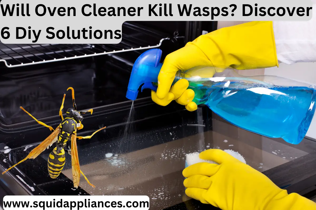 Will Oven Cleaner Kill Wasps? Discover 6 Diy Solutions